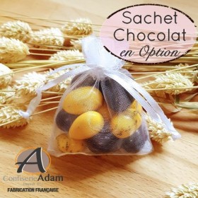 sachet chocolat